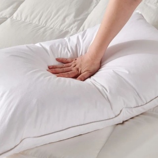 Dovn pillow 40x60 - 0.6 kg